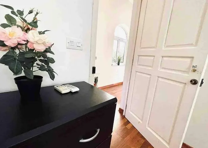 펜션 ! Amazing House In Next To The ! 슬리에마